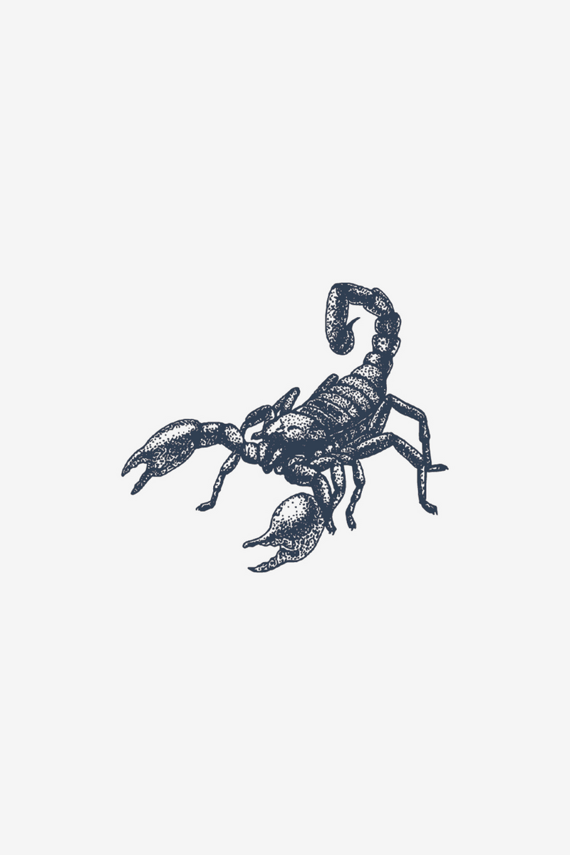 Скорпион