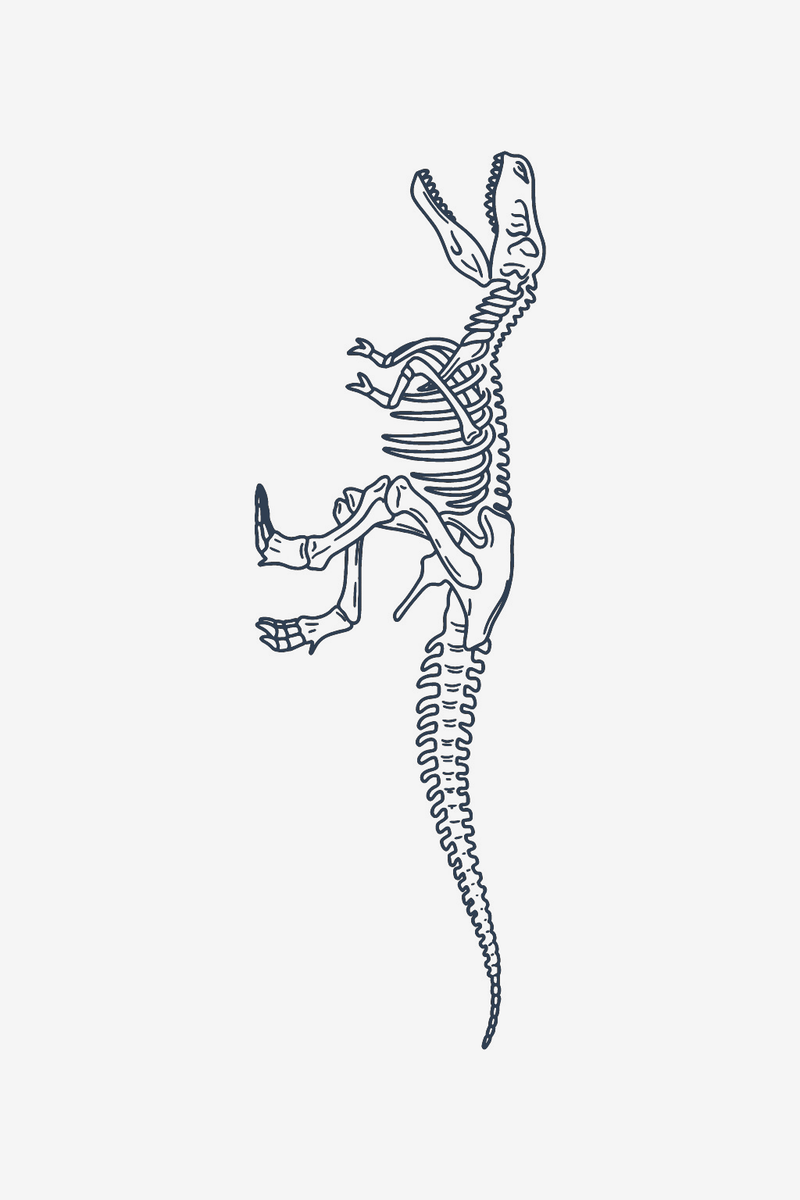 Скелет на T-Rex